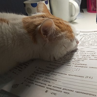 3ZMkj9ri88L7UEU's profile picture. 