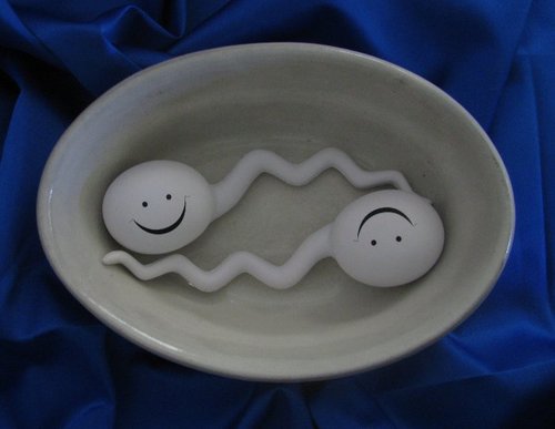 We are very silly here! We bring FUN to all sexual decisions! Legal Note: This is the ORIGINAL. Support Artists! Pls. do not support piracy!  Contact US :)
