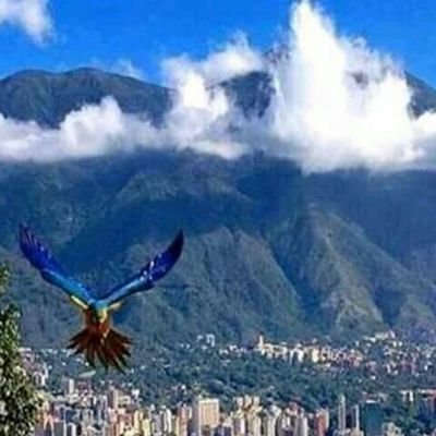 hmerlom59's profile picture. 