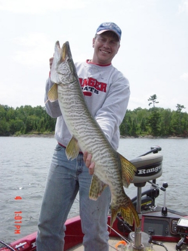 Asch6845's profile picture. '83 Port Edwards, WI H.S.
'89 Grad of UW - STOUT
General Manager Green Bay Packaging
Time in the outdoors with family & friends is my passion