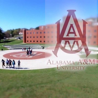 Official Account for Alabama A&M University Office of Admissions.