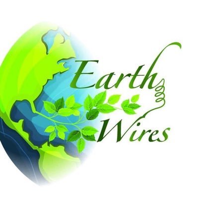 EarthWires's profile picture. just an introvert sharing her art with the world. Please message me if inquiring about a piece or a custom! 🌎🌺 Prices include shipping!