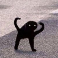 ddddddd (@cadavapo) 's Twitter Profile