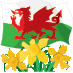 Saint David's Day (@saintdavidsday) Twitter profile photo Saint David's Day (@saintdavidsday) Twitter profile photo