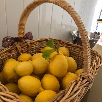 CarolinaDWeller's profile picture. retired Prof, keen cook and gardener