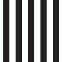 NUFC Insight (@nufcinsight) 's Twitter Profile Photo