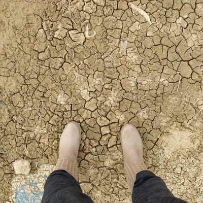 Mulo584238182's profile picture. טוויטר שואלת מה הופך אותי למיוחדת. וואלה קשה לענות,  בעיקר עוקבת וקוראת