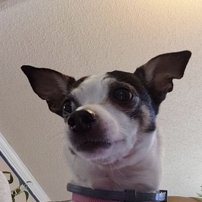 Rebecca89153609's profile picture. 