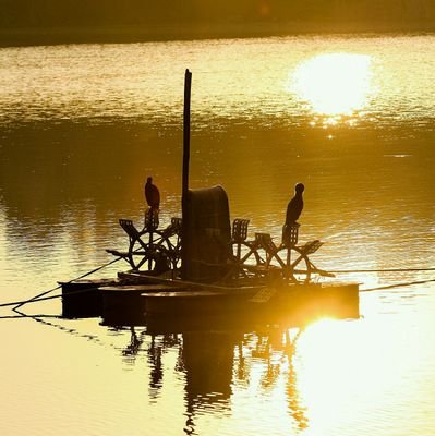 Bf94NsLTFnn8O1J's profile picture. كاتب