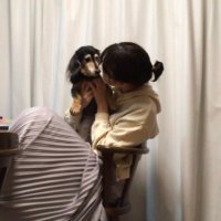 はるか (@grgrgr0111) 's Twitter Profile