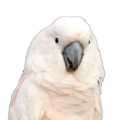 サボり🥀さんのプロフィール画像