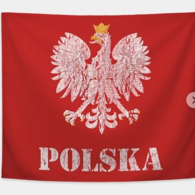 SobutkaS's profile picture. 