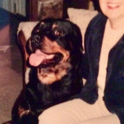 Jdg12345678's profile picture. I LIKE MOST PEOPLE, BUT PROBABLY ANIMALS BETTER