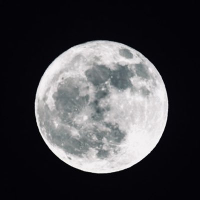 子供の頃に夢を何度も見ました 天馬が眠りから覚めて世界を駆けて平和をもたらせる夢でした 覚醒することを願ってます 生きているからこそ夢想と現実の間に存在していると思う
