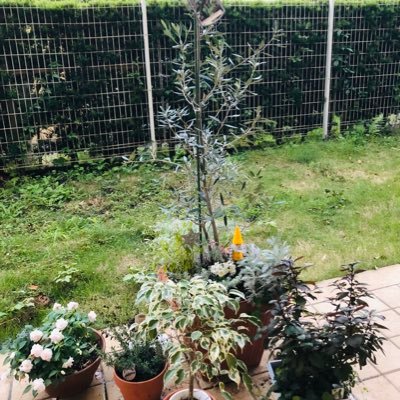 Olivelovemdr's profile picture. フィギュア トラベル