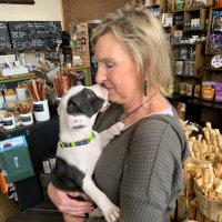 Beth Ebert (@btebert) 's Twitter Profile