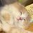 ユウスケのアイコン