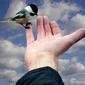 Saro0on7's profile picture. 