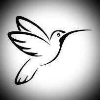 corrientecanta's profile picture. Women are female.