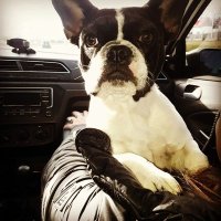 Ana Maria Lobo (@anamarialobo8) 's Twitter Profile