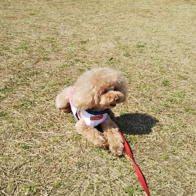 タミー Tamywan2 Twitter