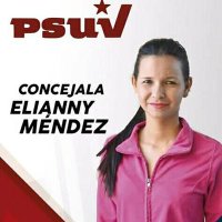 Elianny Mendez Psuv(@EliannyMendezP) 's Twitter Profile Photo