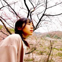 Tae Ito (@tae_ito) 's Twitter Profile