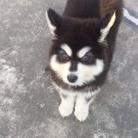 Tasuli (@xiximini1) 's Twitter Profile