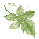 nvc_nl's profile picture. Opleidingsinstituut voor Geweldloze Communicatie & Verbindende Communicatie in Nederland. #NVC
Non-Violent Communication Academy in The Netherlands