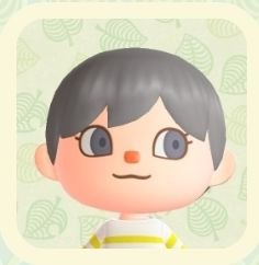 모여라동물의숲 AnimalCrossing
