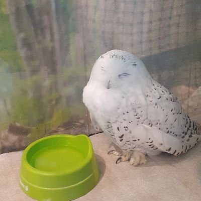 HANA97489225's profile picture. 香川大学/20A