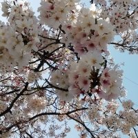 Toshiyuki Ujiie (@w_entertainer) 's Twitter Profile
