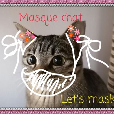 Belove39day1's profile picture. 2020年3月9日開始
2019年10月13日にキジトラ女子のママになりました😽
甘えたで、隠れんぼ大好き😼
女子力高め🌱お喋り大好😸宜しくお願いします🎵