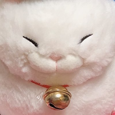 motimoti_motao's profile picture. ぬい撮り📷ひげまんじゅう好き