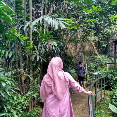 maudyafikriamal's profile picture. 