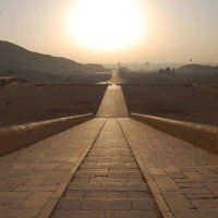 Sarah (@sedoterra) 's Twitter Profile