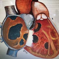 AARCC (@aarcc2) 's Twitter Profile