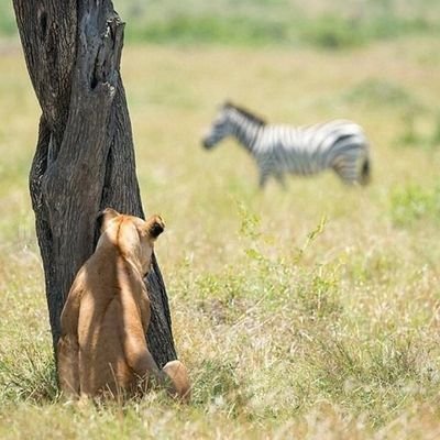 kopmaster14's profile picture. God👑 over everything/God bless my family/@Lfc is my passion/