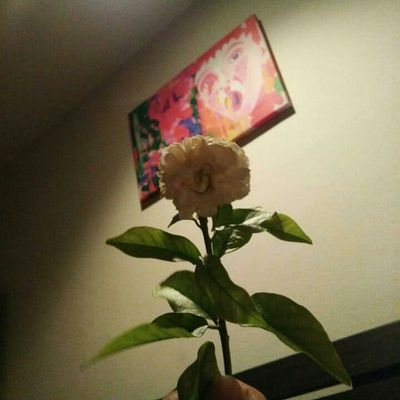 แล้วฉันผิดหรอที่เป็น ALLTEN.
ขอโทษที่หัวใจของฉันมันเลือดผสม.