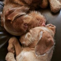 Kelly Mottershead (@mummymotts) 's Twitter Profile Photo Kelly Mottershead (@mummymotts) 's Twitter Profile Photo