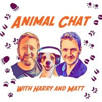 The Animal Chat Podcast 🦍🐋🦧(@chat_animal) 's Twitter Profileg