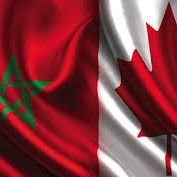 AbdelhaqMeziane's profile picture. Montréal, Québec