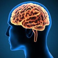 NHSL North Stroke Neuro Rehab Team-North SNRT (@northsnrt) 's Twitter Profile Photo NHSL North Stroke Neuro Rehab Team-North SNRT (@northsnrt) 's Twitter Profile Photo