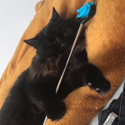 dfincher1's profile picture. Passionate about OT, own views