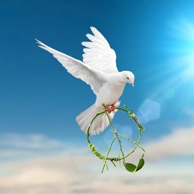 DeathNote_6's profile picture. ⚛️Consciens⚛️☯️Nosce te ipsum☯️🕊️Memento Vivere🕊️💟Amor vincit omnia💟❣️F4F❣️