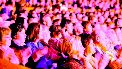 transamband's profile picture. The Most Important Rock Band Since Scritti Politti