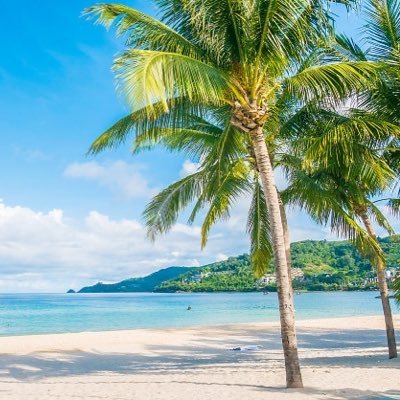 moncar_trs's profile picture. 