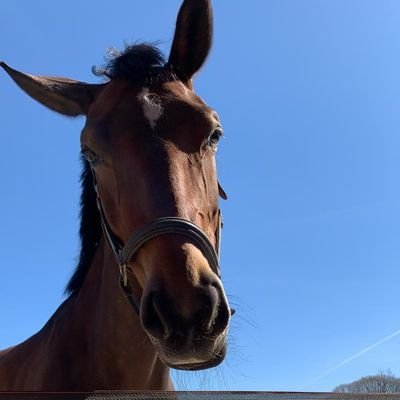 Sankanerwatvan's profile picture. Life is too short. Enjoy and have lots of fun. Spring in waterplassen, ga skippyballen en koop een ijsje.