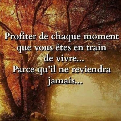 Bruno Hoareau Trendfrance Ca C Est Bien Vrai C Est Tellement Plus Simple De Rejeter La Faute Sur Les Autres Que De Se Remettre En Question Twitter