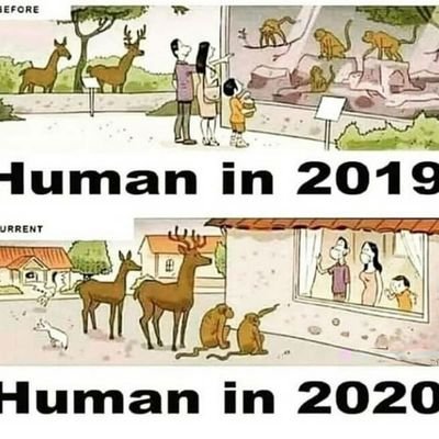 Ilavenil_R's profile picture. 